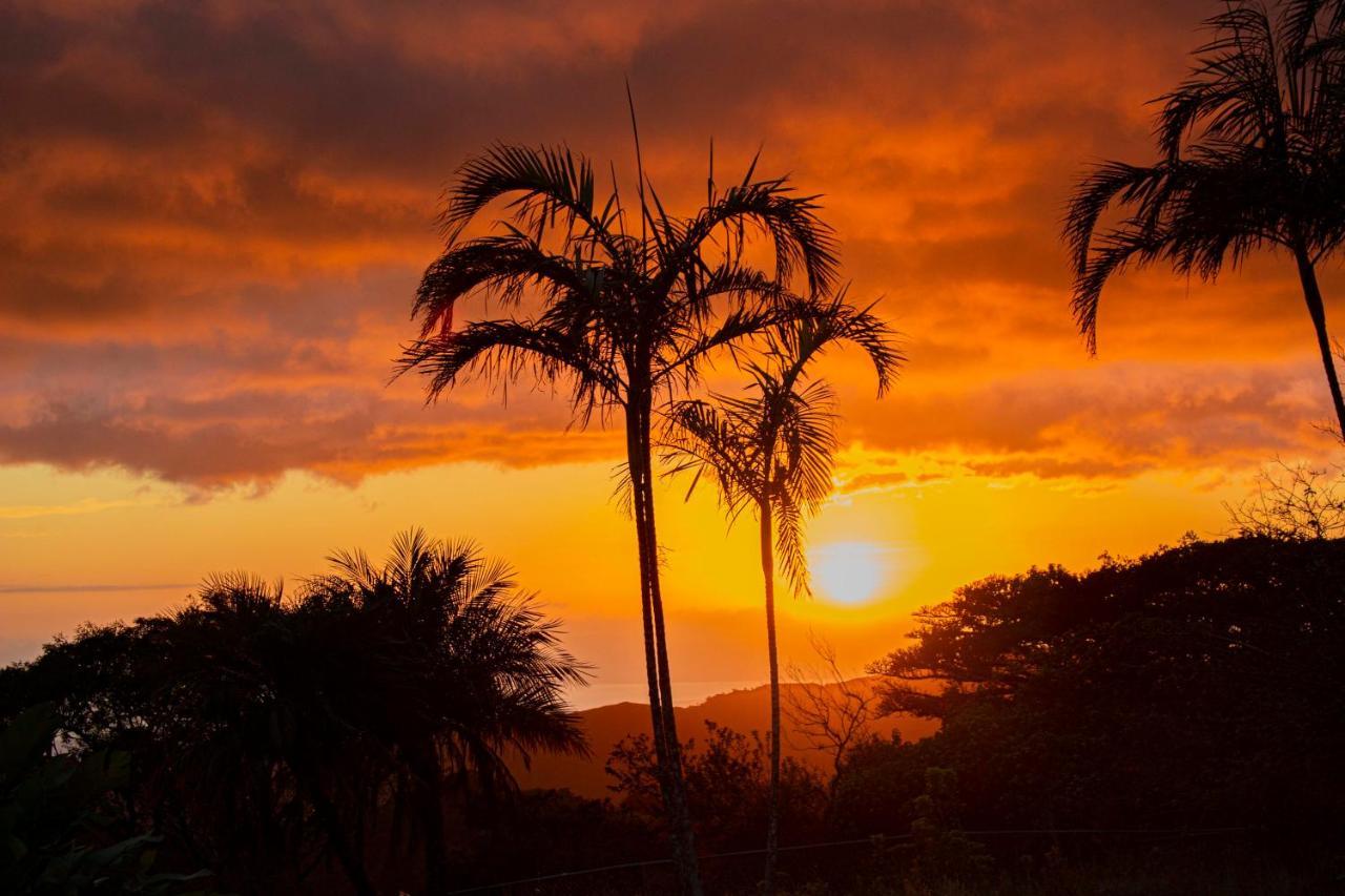 Sunset Monteverde Extérieur photo